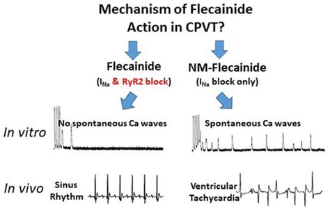 is flecainide a beta blocker|Flecainide .
